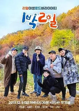 音乐合伙人综艺在线观看